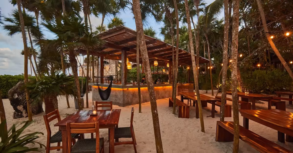 A dinner set with lights under the palm trees for a private event