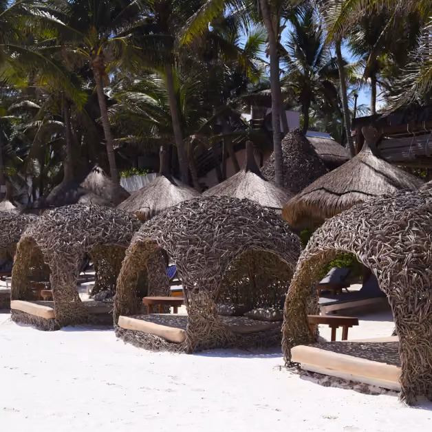 Thatched cabanas line the sandy beach at Ana y José Beach Club, shaded by palm trees and offering a relaxing spot.