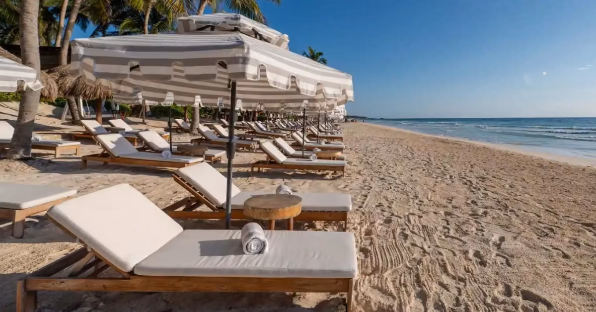 Lounge chairs with towels and umbrellas line a sandy beach, with calm waves and palm trees under a clear blue sky.