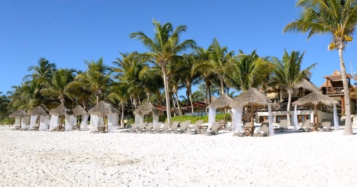 Thatched-roof cabanas with white curtains line a sandy beach shaded by palm trees, lounge chairs beneath them inviting relaxation.