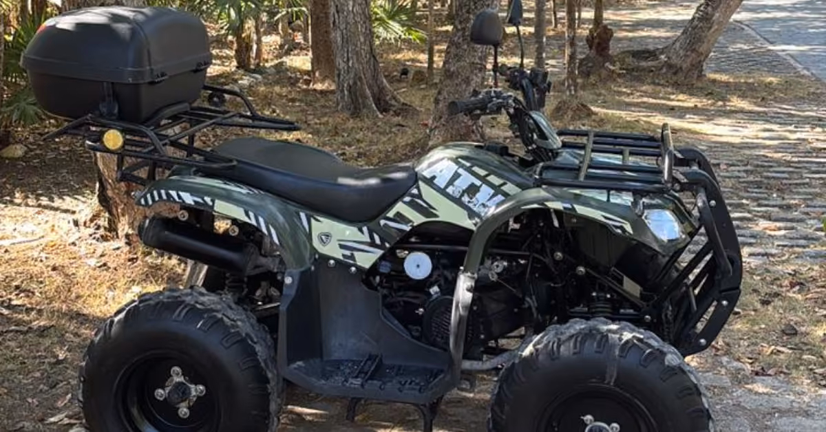 A green and black camouflage ATV is parked on dirt and leaves near trees and a stone path outdoors.