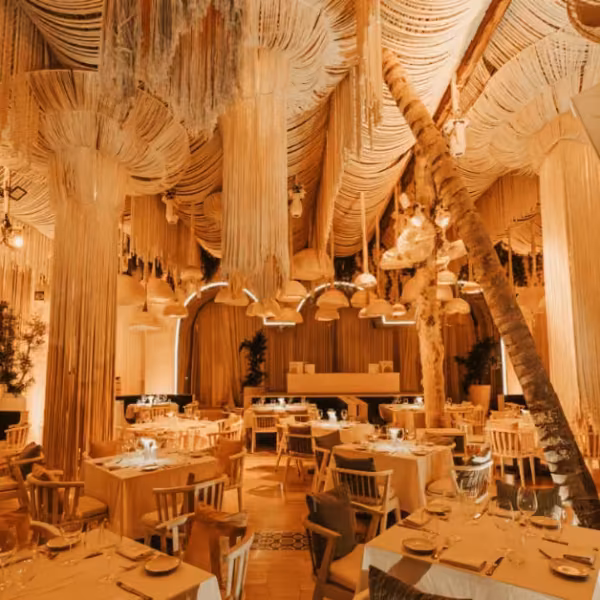 The warmly lit dining room of Bagatelle Restaurant, with draped fabric, hanging lamps and tree trunks rising between the set tables.