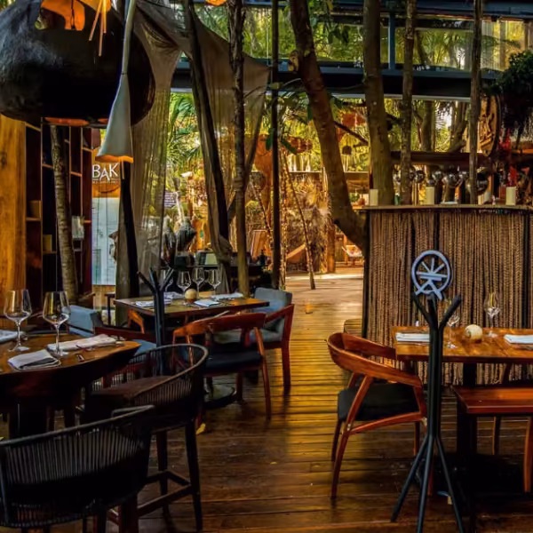 A cozy restaurant with wooden floors, modern seating, large windows, lush trees, and warm lighting creating a natural ambiance.