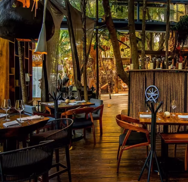 A cozy restaurant with wooden floors, modern seating, large windows, lush trees, and warm lighting creating a natural ambiance.