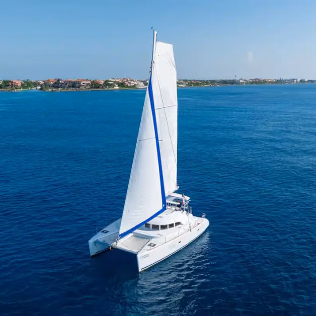 A white catamaran sails on calm blue water near a coast with buildings and greenery under a clear, sunny sky.