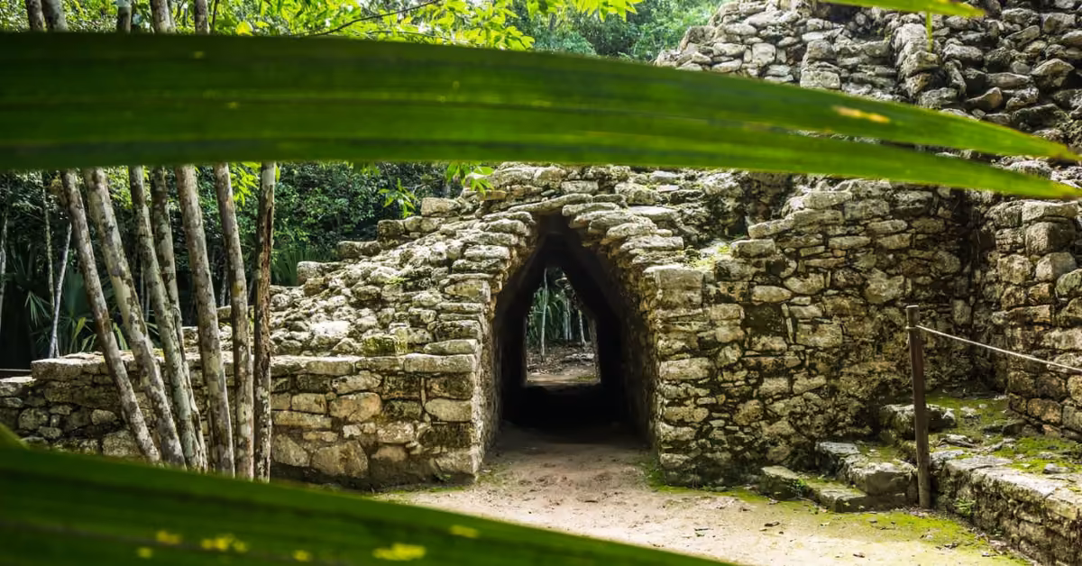Ancient Mayan stone archway surrounded by lush trees and large leaves, leading to a cool, shaded path beyond.