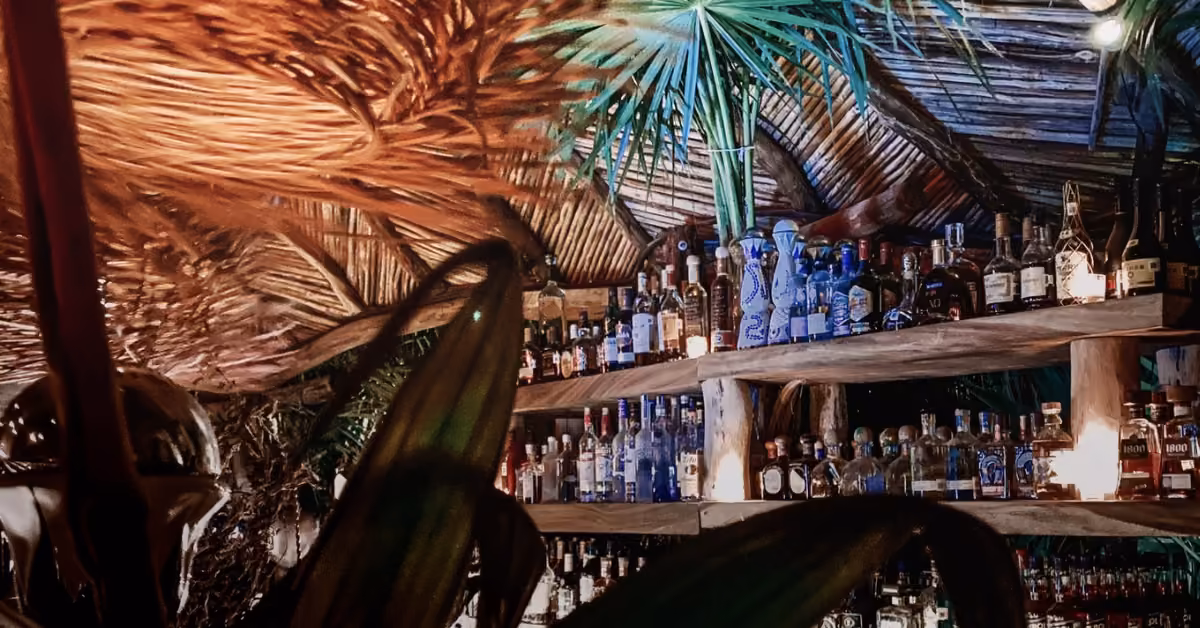 Wooden shelves lined with liquor bottles, palm leaves, and warm lighting create a paradise vibe at Confessions Night Club.