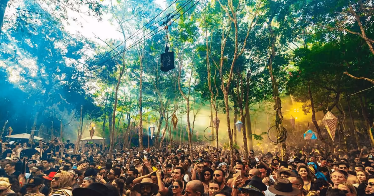 Festival crowd in a forest under tall trees and colorful lights, enjoying the scene with hats, sunglasses, and hanging decorations.