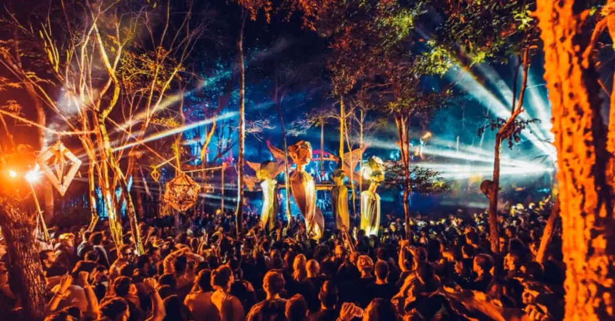 Crowds enjoy the Day Zero Music Festival at night, with colorful lights, spotlights, and hanging decorations among the trees.
