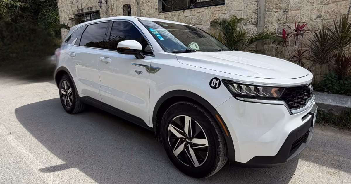 A white SUV with tinted windows and black-silver wheels is parked beside a stone building with plants and an “01” sticker.