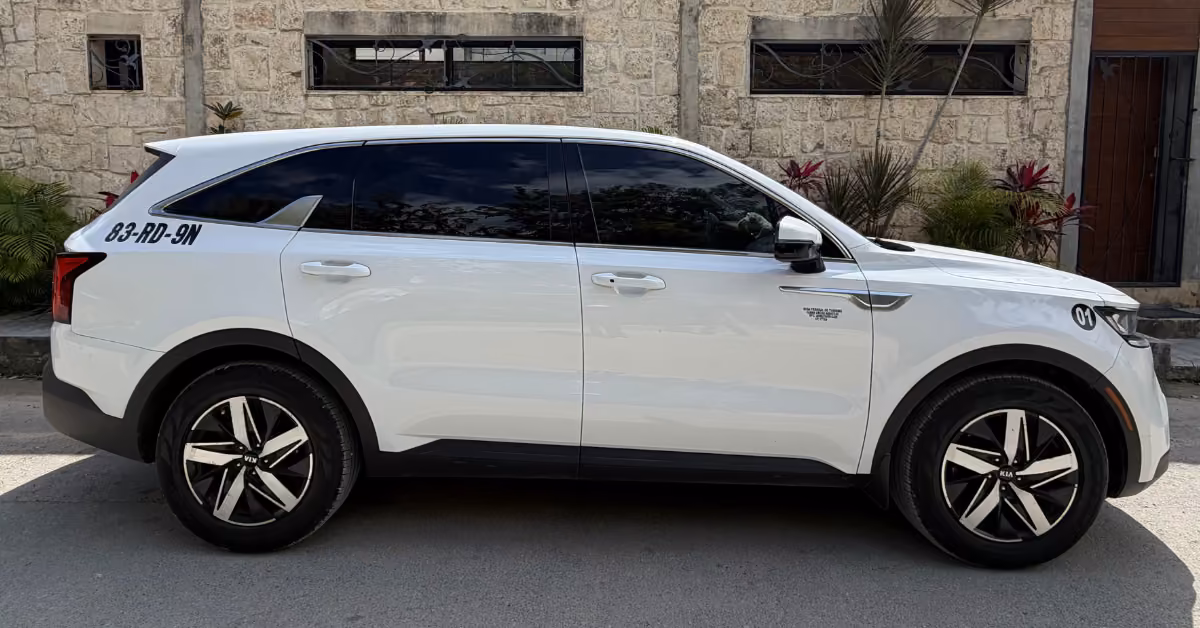 A white SUV with tinted windows is parked by a stone building with plants. Its license reads 83-RD-9N and wheels are black-silver.