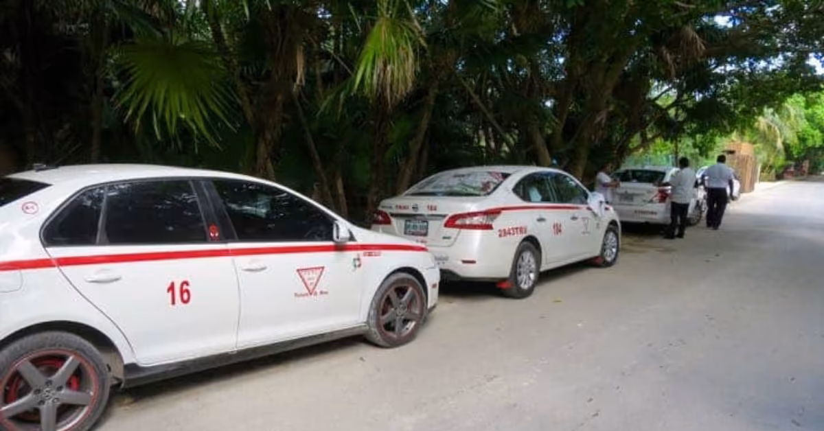 Three white taxis with red stripes are parked by the roadside near trees. Two people stand by one car, talking in a tropical setting.