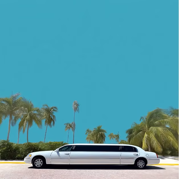 A white stretch limo is parked on a road lined with palm trees and green bushes beneath a bright blue sky.