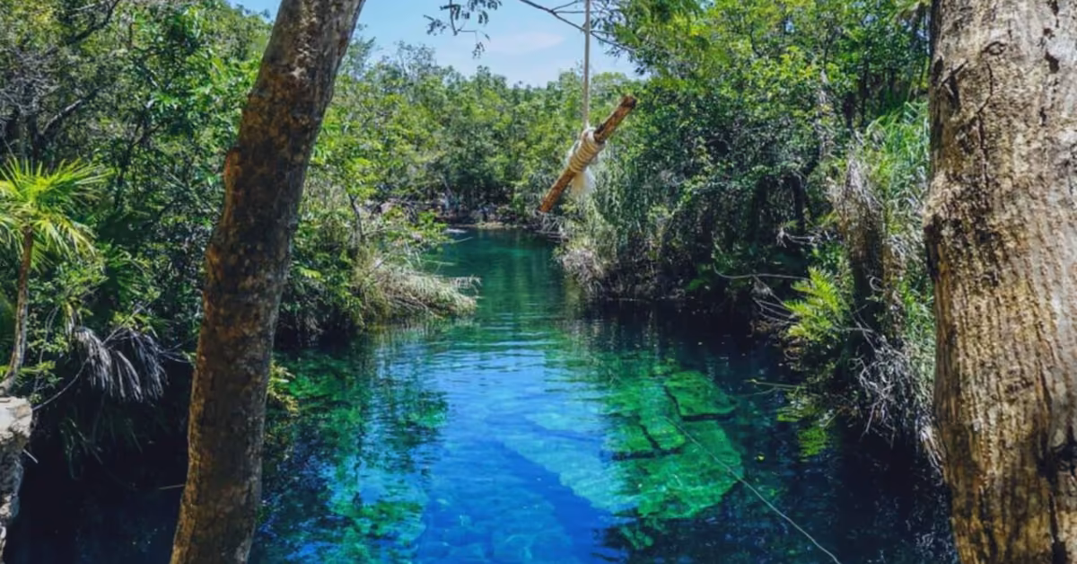Cenote Escondido, a blue pool surrounded by lush trees, features a rope swing hanging over the water between two trunks.