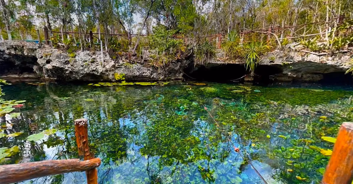 A clear cenote bordered by rocks, lush greenery, and trees, with water reflections and a wooden railing visible in front.