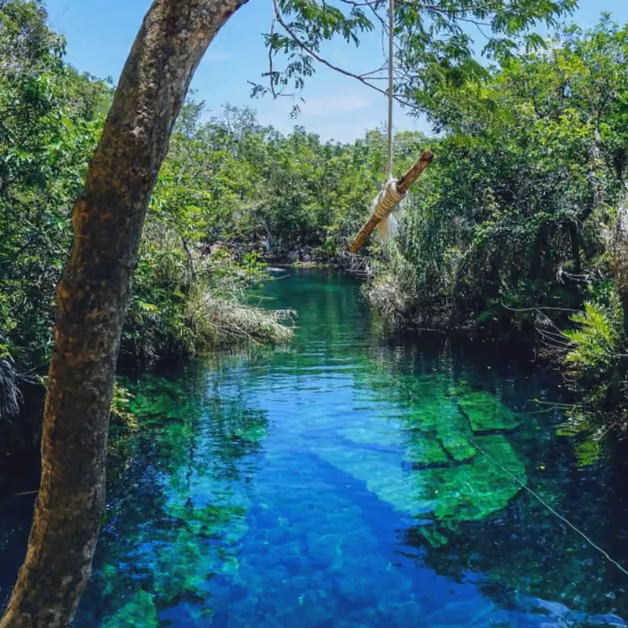A clear blue pool surrounded by lush green trees, with a rope swing over the water, glistening beneath a sunny sky.