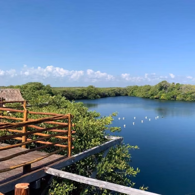 A wooden deck overlooks a calm blue lagoon bordered by green trees, with white birds floating on the water under a clear sky.