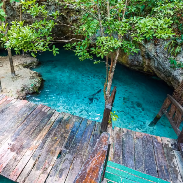 A wooden staircase descends to a clear blue cenote, framed by lush trees and rocks, sunlight illuminating the peaceful water.