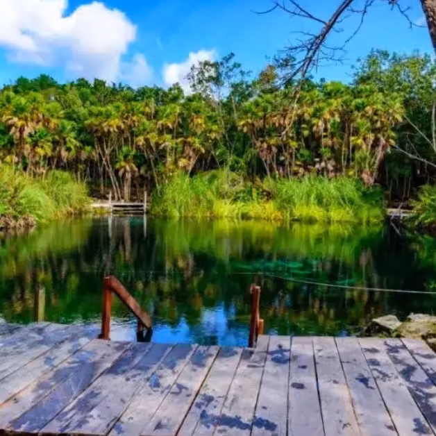 A wooden dock extends over a clear lake, bordered by lush trees and tall grass beneath a partly cloudy blue sky.