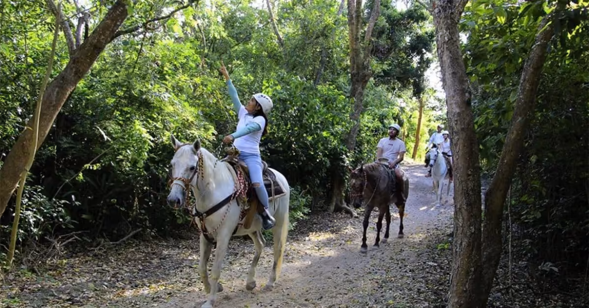 Three people ride horses along a forest trail, sunlight filtering through lush green trees as the lead rider points upward.