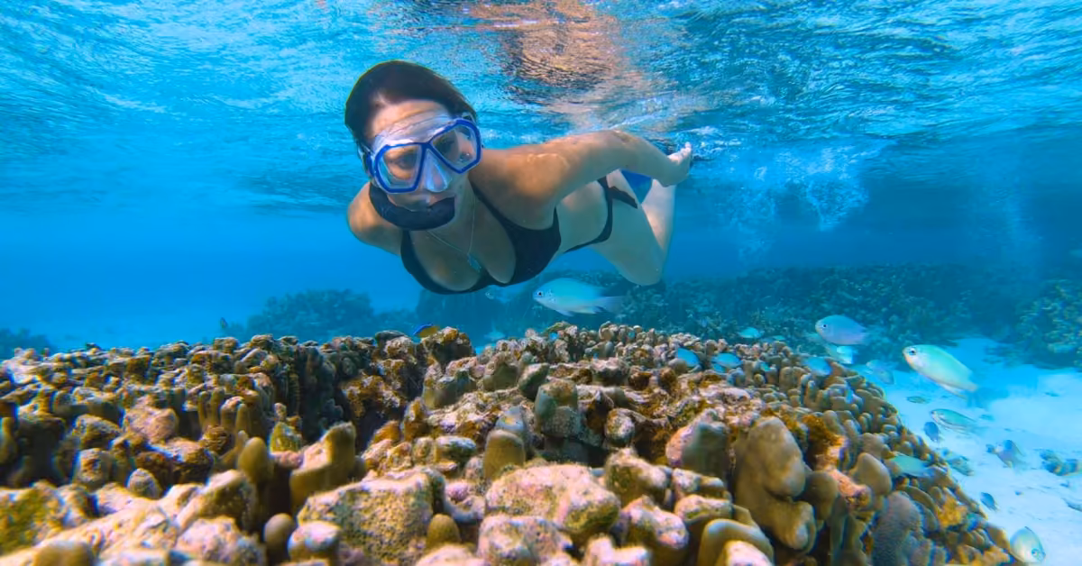 A woman with a snorkel mask swims above a coral reef and small fish in clear blue water, enjoying snorkeling in Tulum.