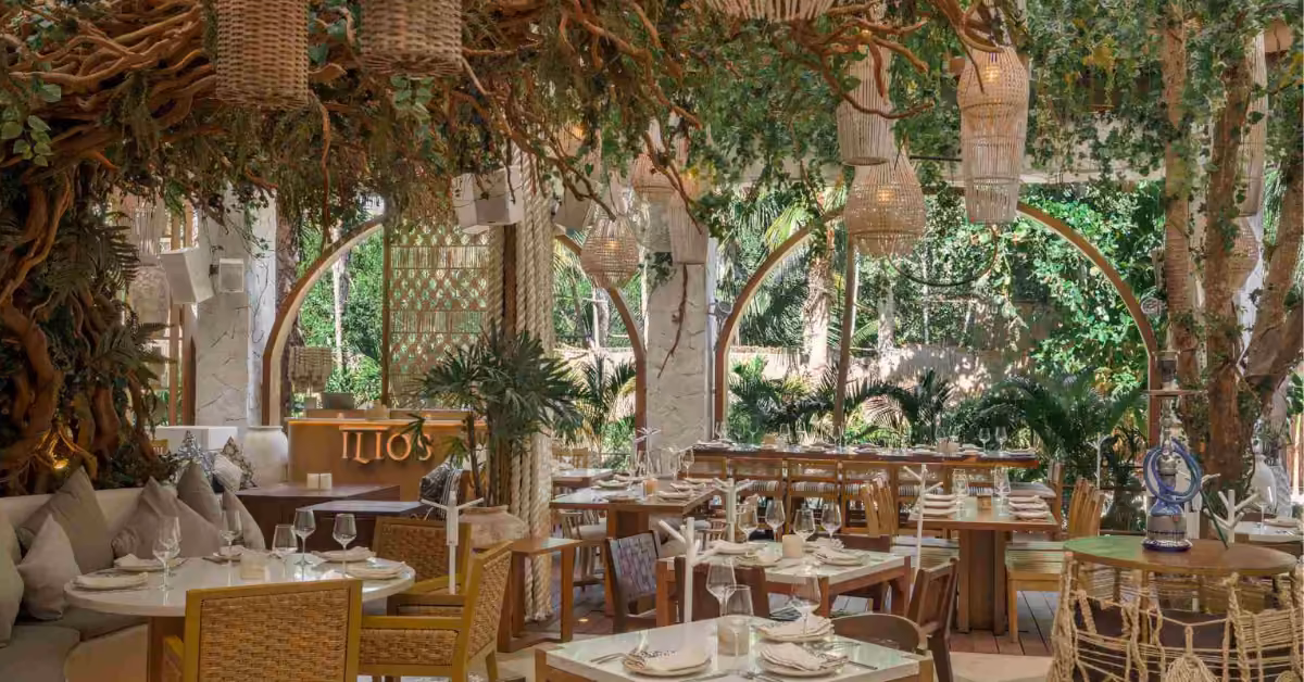 Ilios restaurant has arched windows, greenery, and trees in the decor, with woven lights above warm, inviting tables.