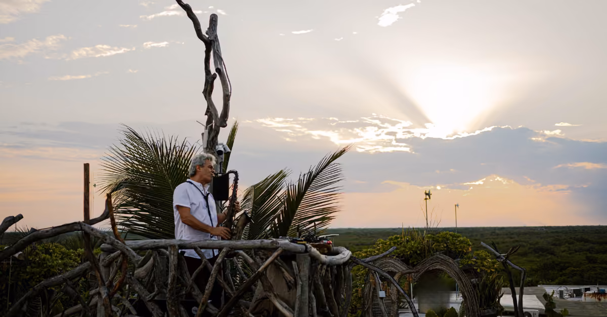 Someone stands on a wooden rooftop deck, surrounded by lush plants, gazing at a sunset with sunbeams shining through clouds.