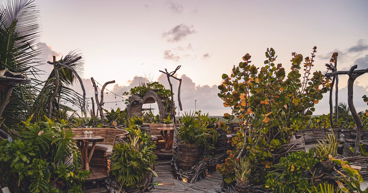 Rooftop restaurant with wooden tables and chairs, lush greenery, a sunset sky, soft clouds, and an ocean view in the background.