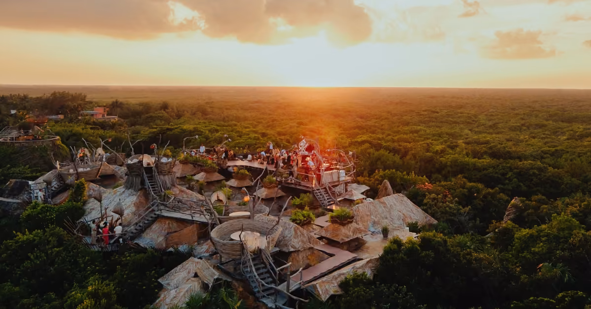 Kin-Toh’s wooden rooftop restaurant nestles above lush forest at sunset, with diners bathed in a warm golden glow.