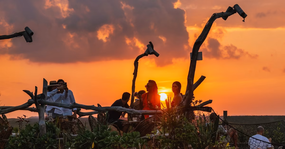People sit on wooden benches at a rooftop lookout, silhouetted by an orange sunset, framed by tree branches and greenery.