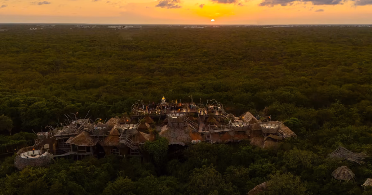 Treehouse restaurant with rooftop terrace in lush forest, diners enjoying sunset as the sky glows orange and yellow.