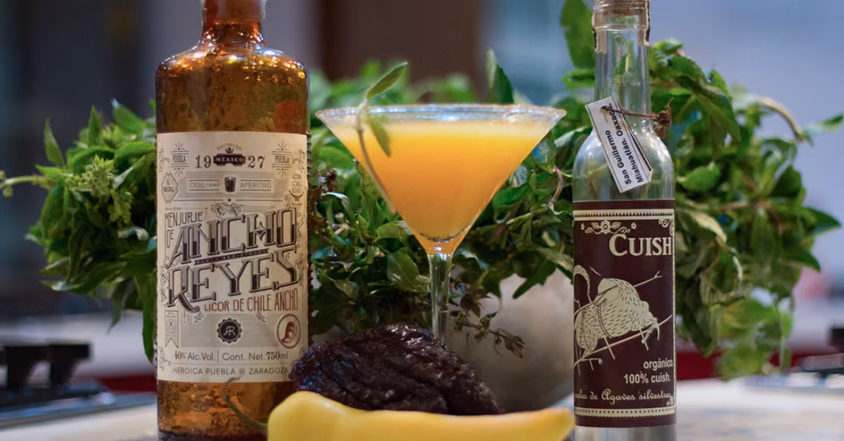 A martini glass cocktail sits between Ancho Reyes and Cuish bottles, with dried and yellow chilies and fresh herbs nearby.
