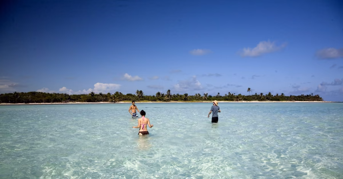 Three people wade through shallow turquoise water toward a palm-lined tropical shore under a bright blue sky.