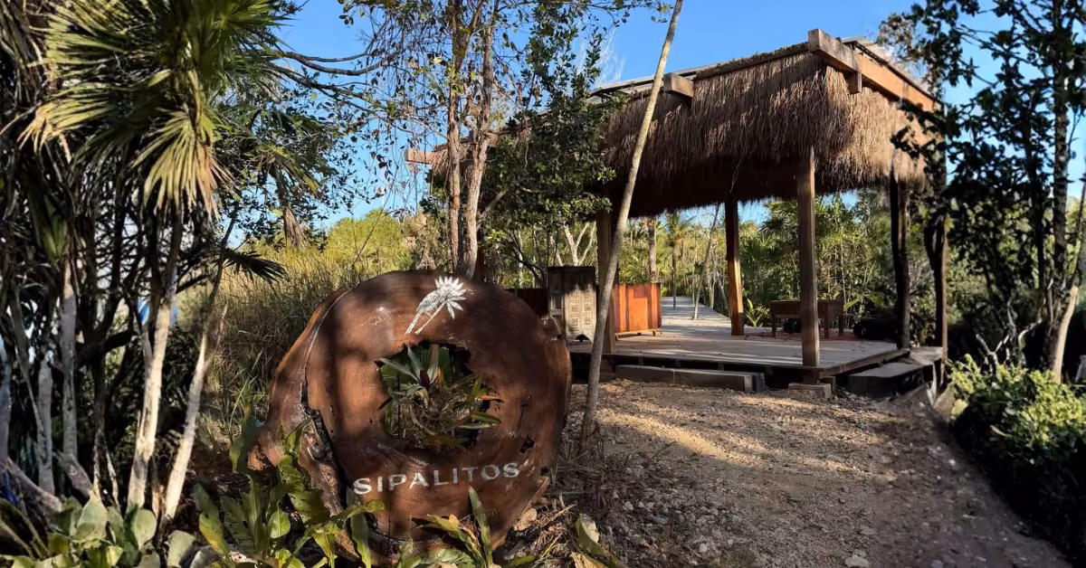 A thatched-roof pavilion among tropical trees, with a rusted “SIPALITOS” sign along a sunlit path leading up to it.