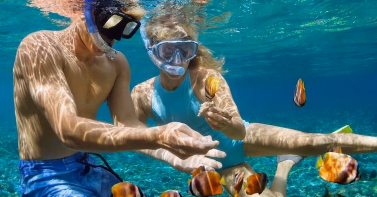 Two people snorkel in clear blue cenote water, reaching toward colorful fish as sunlight shimmers on their skin.