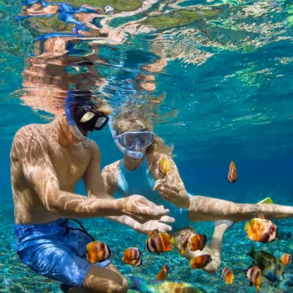 Two people in snorkel masks reach out to colorful fish underwater as sunlight filters through the clear blue water above.