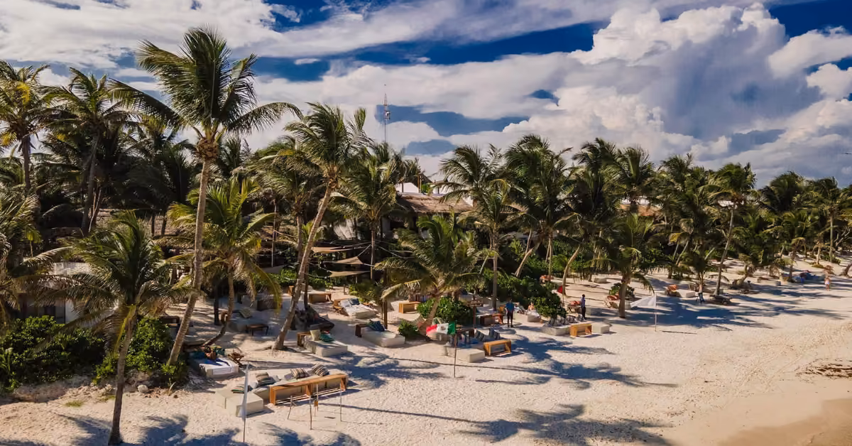 A tropical beach scene with white sand, palm trees, lounge chairs, and daybeds at Ziggy’s Beach Club. People relax under a partly cloudy blue sky, with coastal buildings and lush greenery in the background.