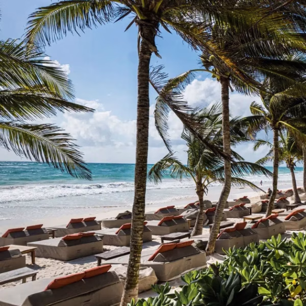 beach at mia beach club