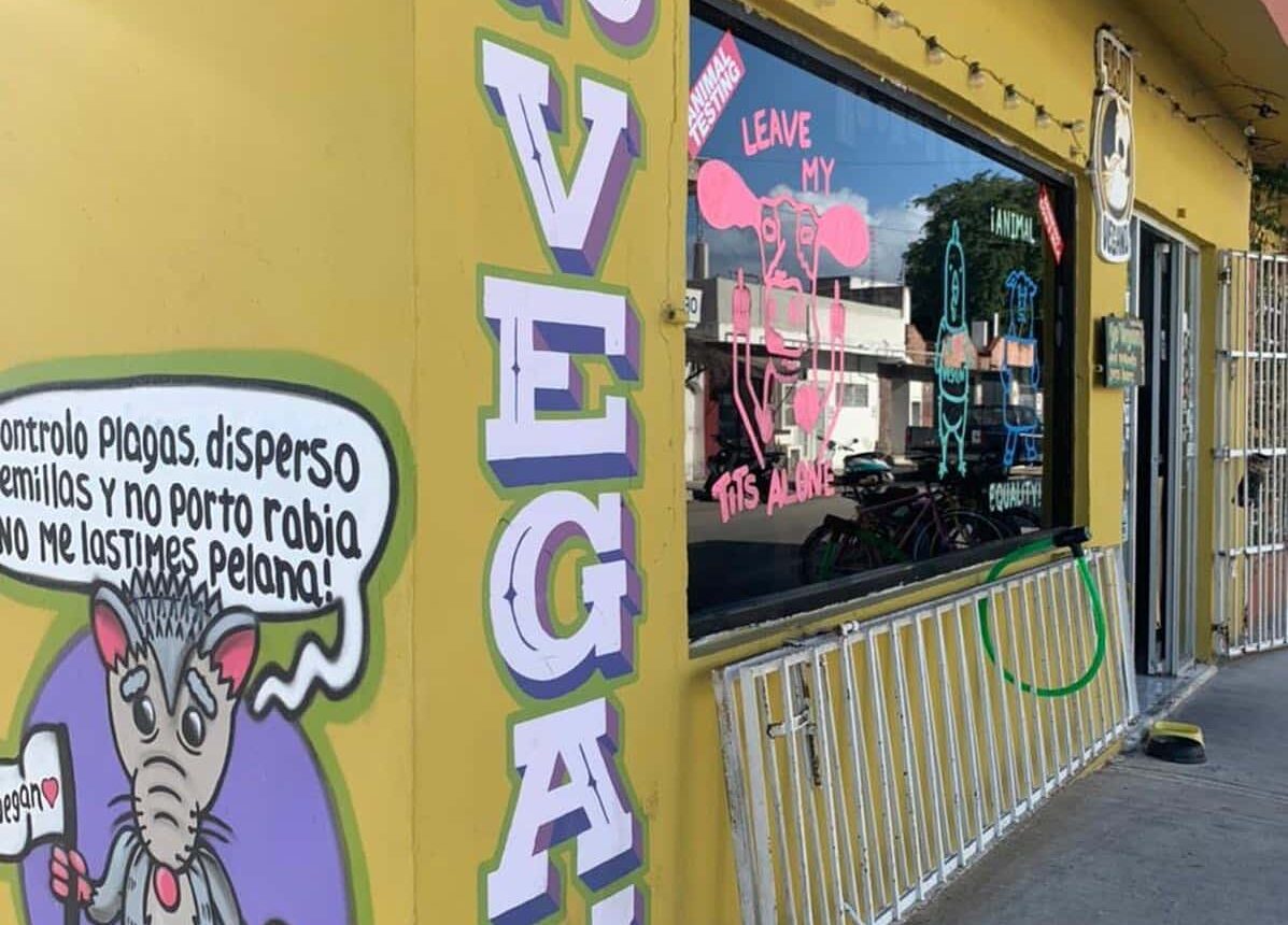 480934839 2071923156659447 8873486608180385463 n