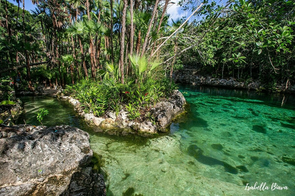Cenote Yax-kin on your way from Akumal to Tulum in Mexico