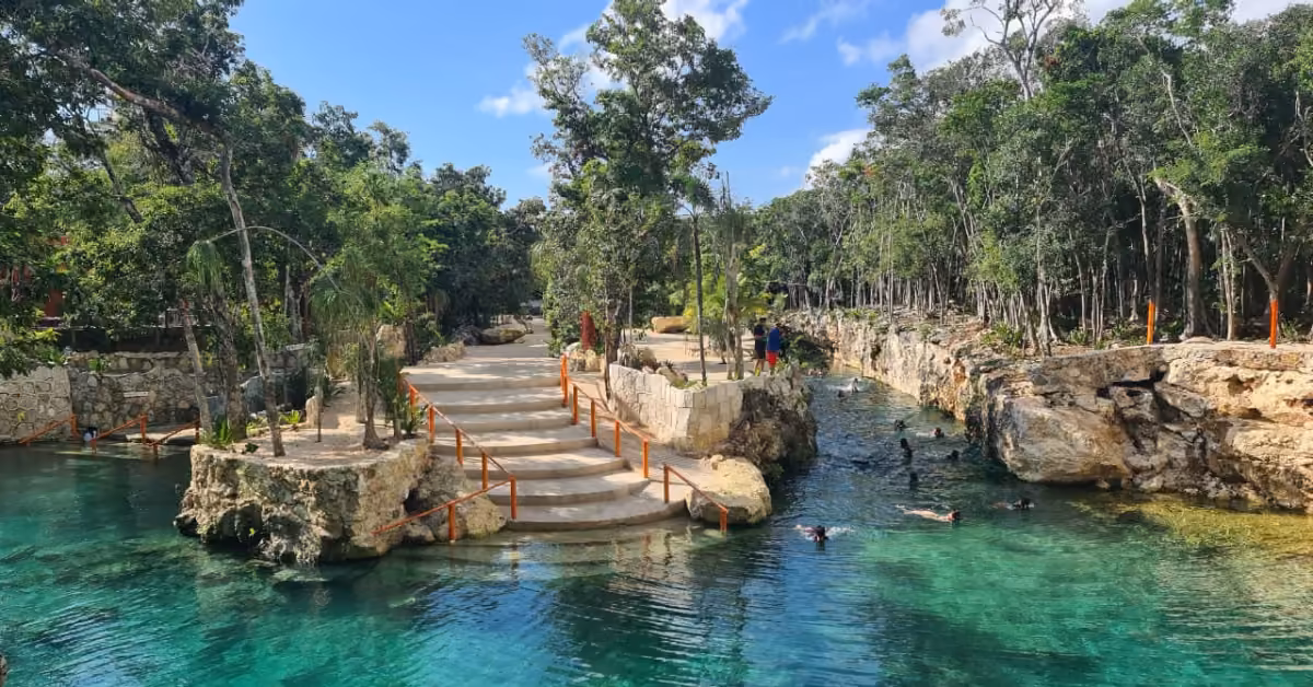 A stone staircase leads to a lush, tree-lined pool at Cenote Casa Tortuga, where people swim and relax under a bright sky.