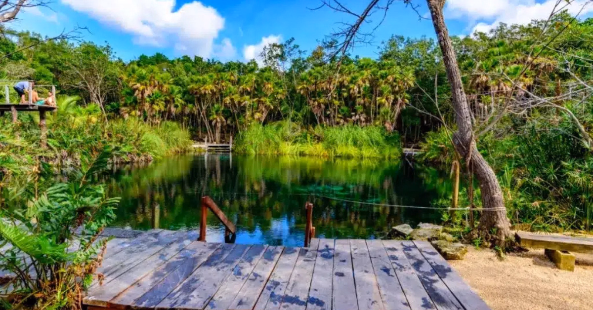 A wooden dock with railings leads to the clear, greenish waters of Cenote Cristal, surrounded by lush vegetation and palm trees under a bright blue sky with scattered clouds.