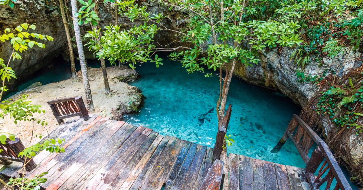 A rustic wooden deck with stairs leads down to a clear blue natural pool at Gran Cenote, surrounded by lush green trees and rocky walls in a serene outdoor setting.