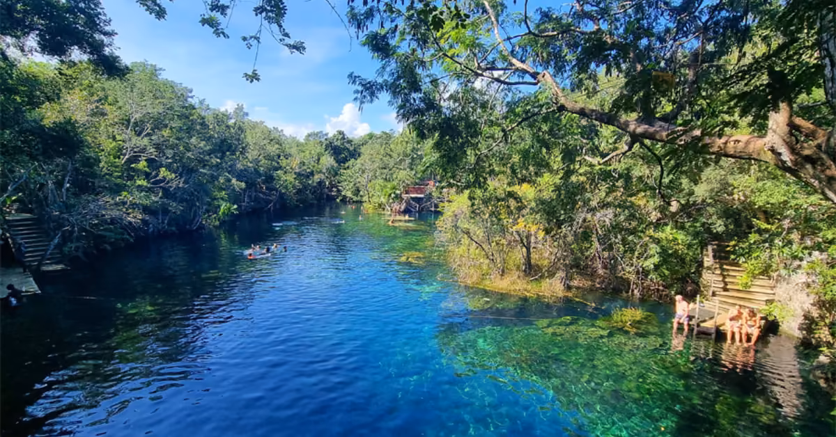 People swim and relax on steps by a blue cenote surrounded by lush trees, with sunlight shimmering on the tranquil water.