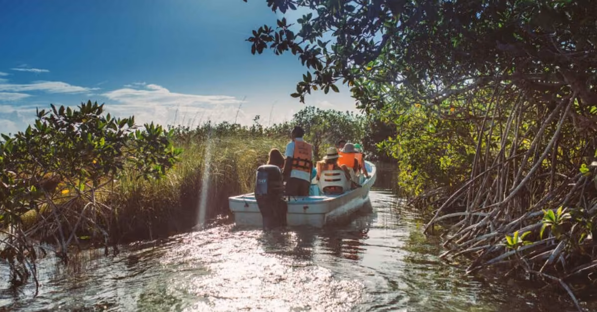 People in life jackets ride a motorboat through narrow mangrove waterways near Tulum beneath a bright blue sky.