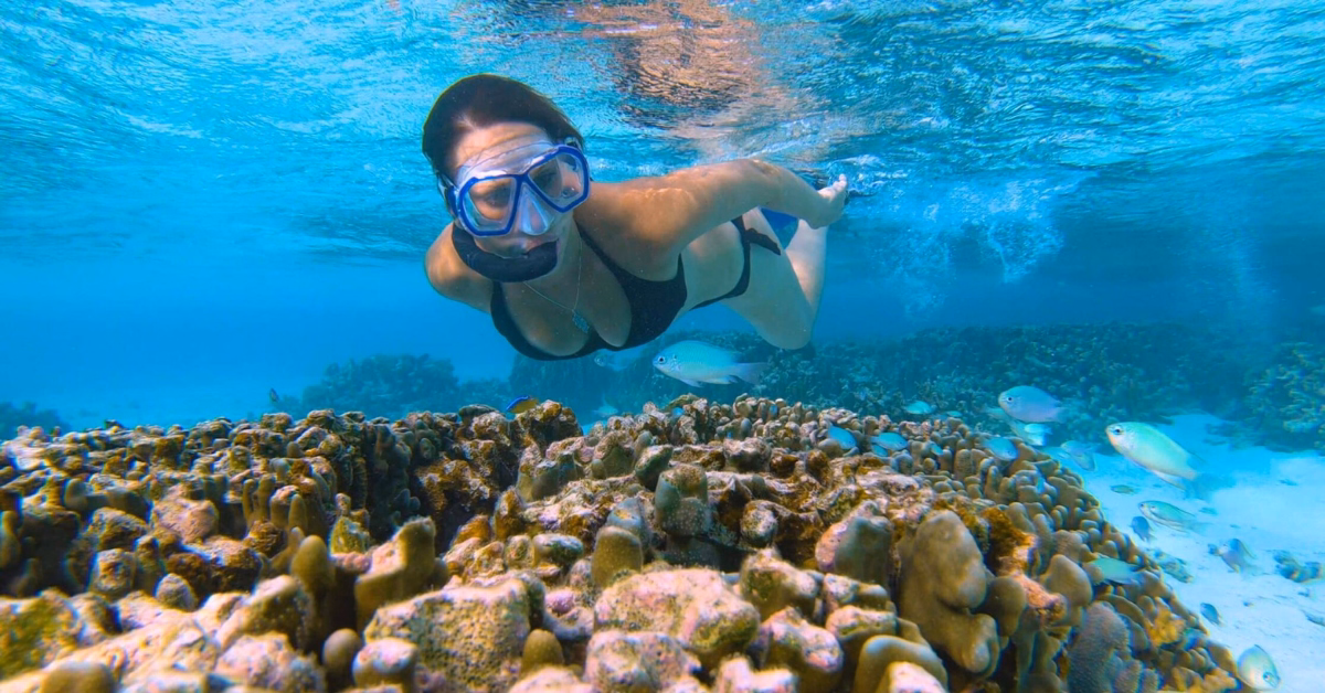 A woman with a snorkel mask swims above a coral reef and small fish in clear blue water, enjoying snorkeling in Tulum.