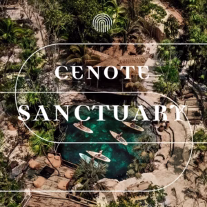 Lush cenote with turquoise water at Vesica Tulum, surrounded by trees and loungers; people paddle beneath